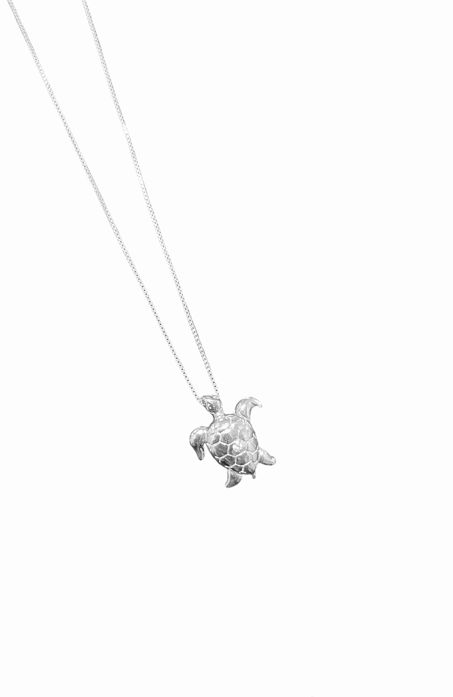 Collar Plata 925 Tortuga circón